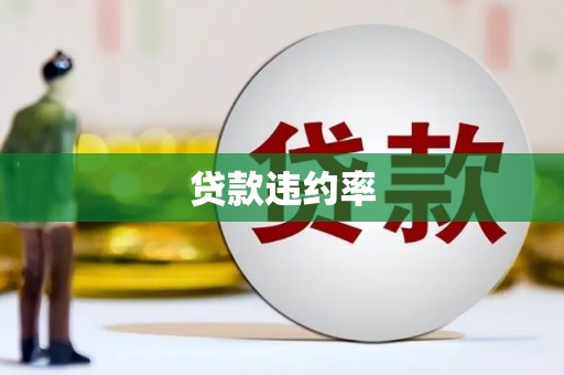 屏山贷款违约率