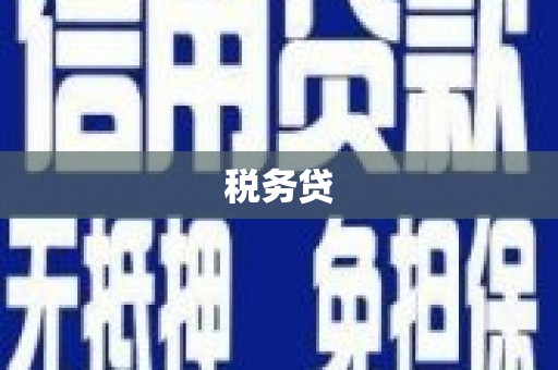 屏山税务贷