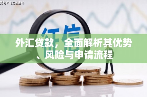 屏山外汇贷款，全面解析其优势、风险与申请流程