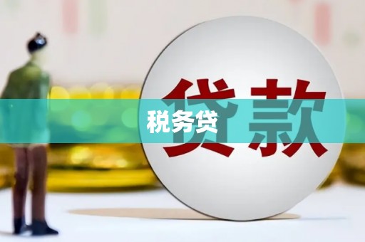屏山税务贷
