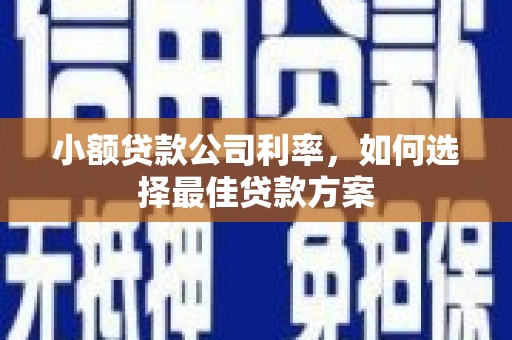 屏山小额贷款公司利率，如何选择最佳贷款方案