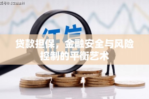 屏山贷款担保，金融安全与风险控制的平衡艺术