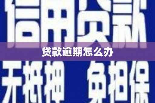 屏山贷款逾期怎么办