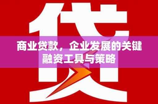 屏山商业贷款，企业发展的关键融资工具与策略