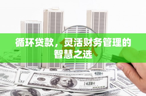 屏山循环贷款，灵活财务管理的智慧之选