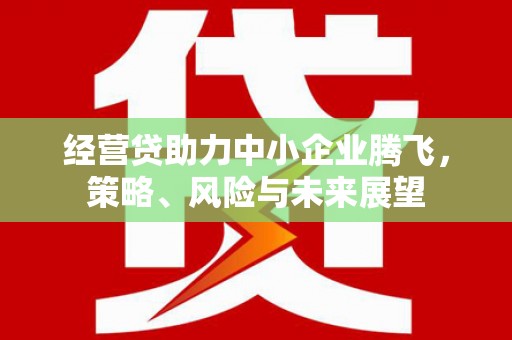 屏山经营贷助力中小企业腾飞，策略、风险与未来展望