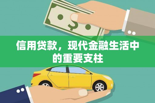 屏山信用贷款，现代金融生活中的重要支柱