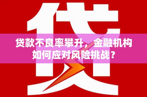 屏山贷款不良率攀升，金融机构如何应对风险挑战？