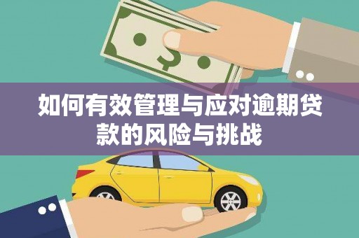 屏山如何有效管理与应对逾期贷款的风险与挑战