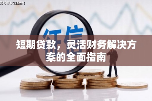 屏山短期贷款，灵活财务解决方案的全面指南
