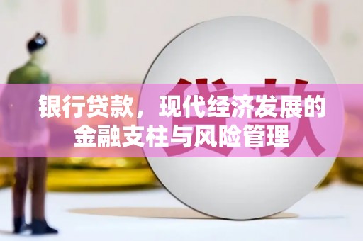 屏山银行贷款，现代经济发展的金融支柱与风险管理
