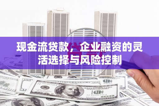 屏山现金流贷款，企业融资的灵活选择与风险控制
