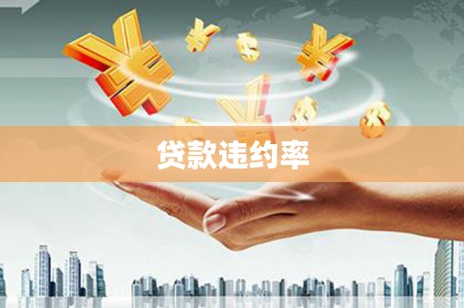 屏山贷款违约率