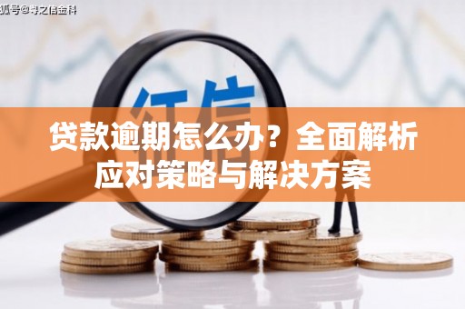 屏山贷款逾期怎么办？全面解析应对策略与解决方案