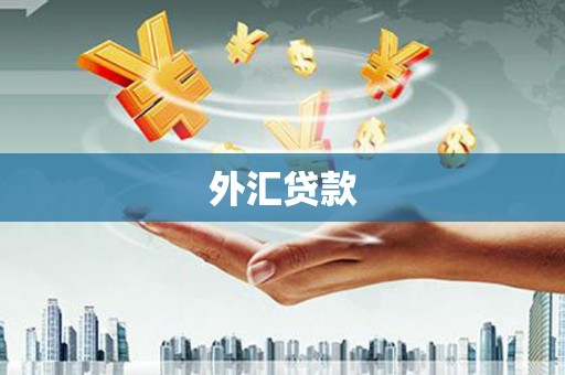 屏山外汇贷款