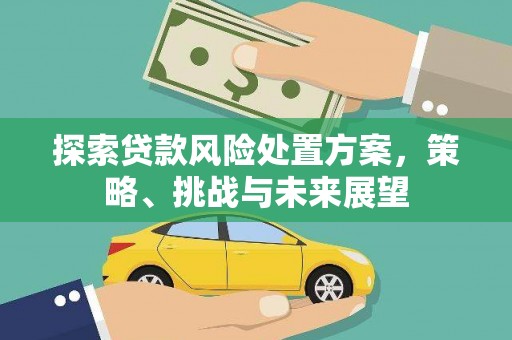 屏山探索贷款风险处置方案，策略、挑战与未来展望
