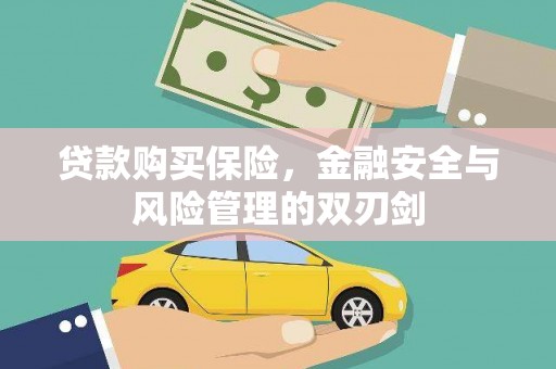 屏山贷款购买保险，金融安全与风险管理的双刃剑