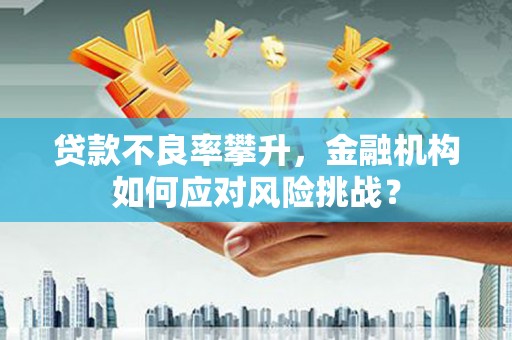 屏山贷款不良率攀升，金融机构如何应对风险挑战？
