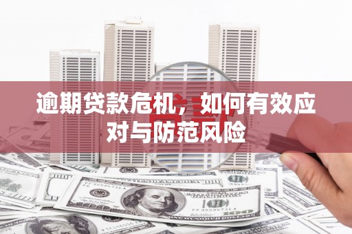 屏山逾期贷款危机，如何有效应对与防范风险