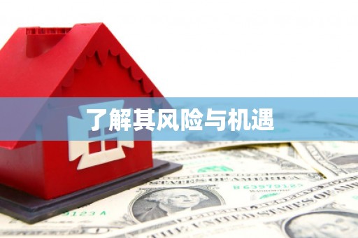 屏山了解其风险与机遇