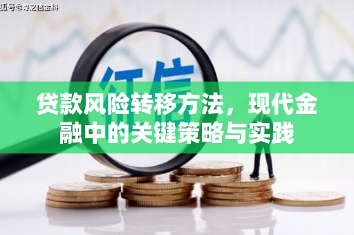 屏山贷款风险转移方法，现代金融中的关键策略与实践