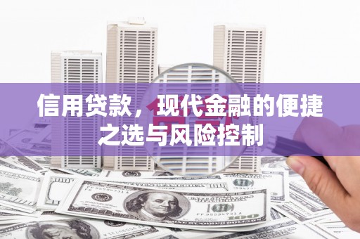 屏山信用贷款，现代金融的便捷之选与风险控制