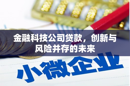 屏山金融科技公司贷款，创新与风险并存的未来