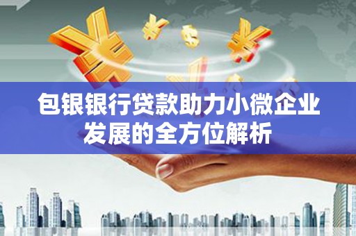 屏山包银银行贷款助力小微企业发展的全方位解析