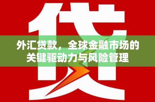 屏山外汇贷款，全球金融市场的关键驱动力与风险管理