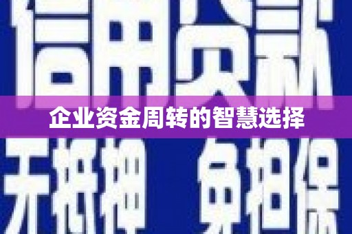 屏山企业资金周转的智慧选择