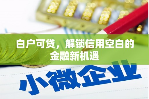 屏山白户可贷，解锁信用空白的金融新机遇