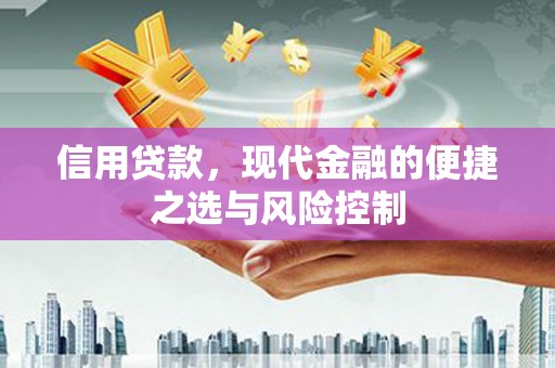 屏山信用贷款，现代金融的便捷之选与风险控制