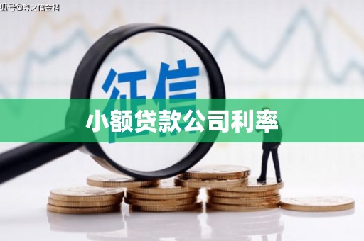 屏山小额贷款公司利率