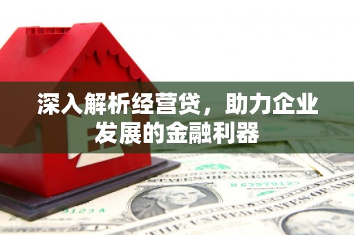 屏山深入解析经营贷，助力企业发展的金融利器