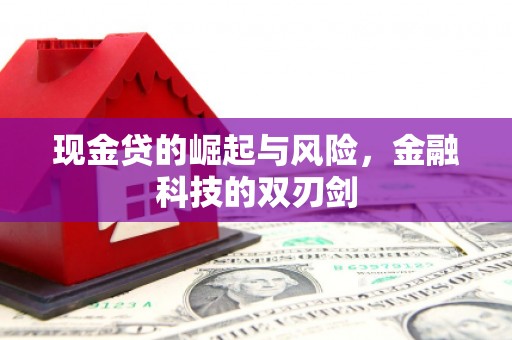 屏山现金贷的崛起与风险，金融科技的双刃剑