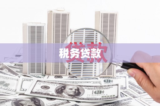 屏山税务贷款
