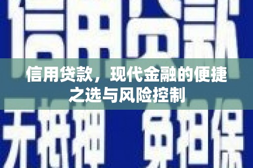 屏山信用贷款，现代金融的便捷之选与风险控制