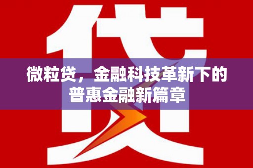 屏山微粒贷，金融科技革新下的普惠金融新篇章