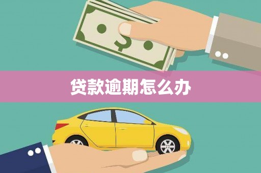 屏山贷款逾期怎么办