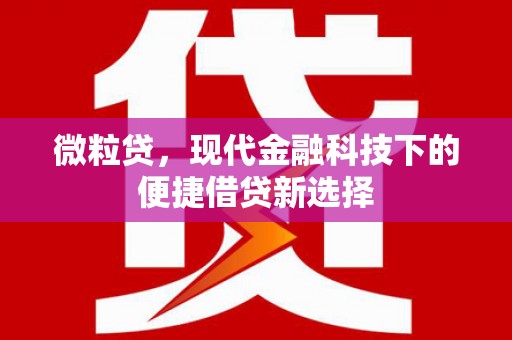 屏山微粒贷，现代金融科技下的便捷借贷新选择