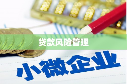 屏山贷款风险管理