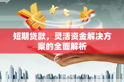 屏山短期贷款，灵活资金解决方案的全面解析