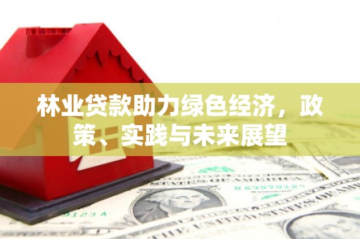 屏山林业贷款助力绿色经济，政策、实践与未来展望