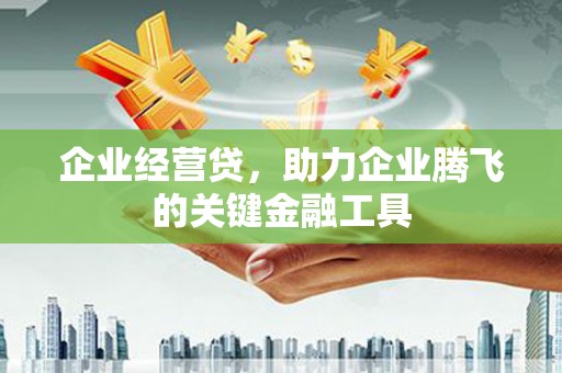 屏山企业经营贷，助力企业腾飞的关键金融工具