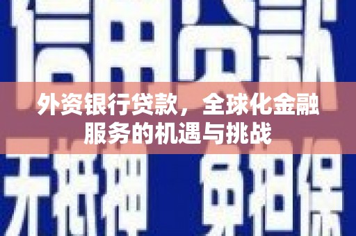 屏山外资银行贷款，全球化金融服务的机遇与挑战