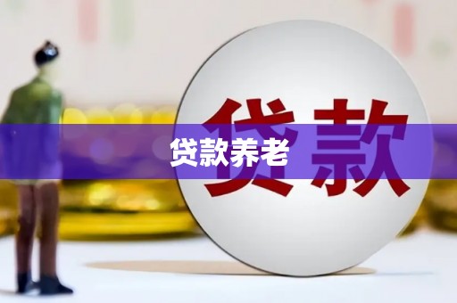屏山贷款养老