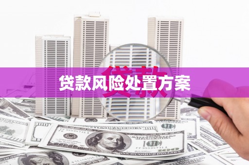 屏山贷款风险处置方案