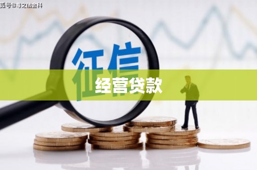 屏山经营贷款