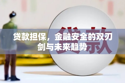 屏山贷款担保，金融安全的双刃剑与未来趋势
