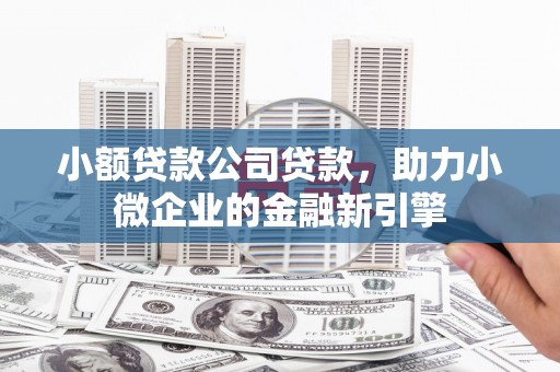 屏山小额贷款公司贷款，助力小微企业的金融新引擎